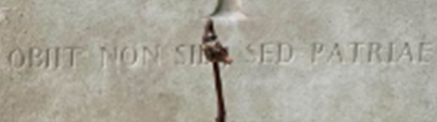 A screenshot of a computer
AI-generated content may be incorrect.